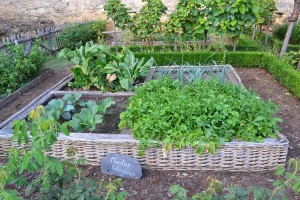 vegetable-garden-890625_1280